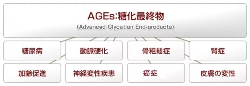 漸成熱潮的“抗糖化（AGEs）”市場及山竹的抗糖化效果